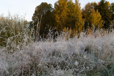 Similar image 2124558