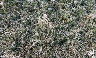 Similar image 2124559