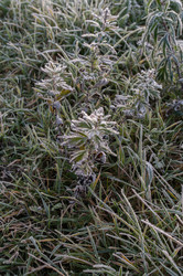 Similar image 2124560