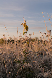 Similar image 2124561