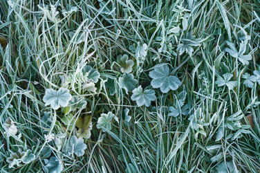 Similar image 2124576