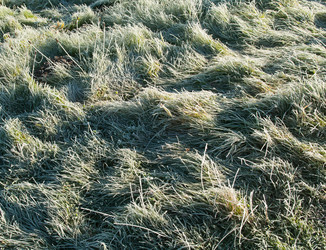 Similar image 2124589