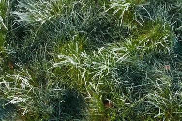 Similar image 2124592