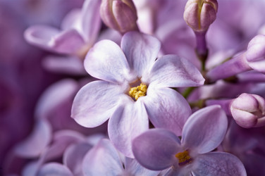 Similar image 2124593