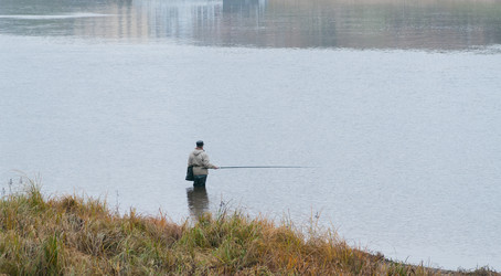 Similar image 2124603