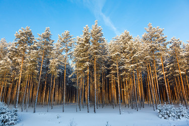 Similar image 2125253