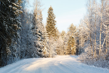 Similar image 2125255