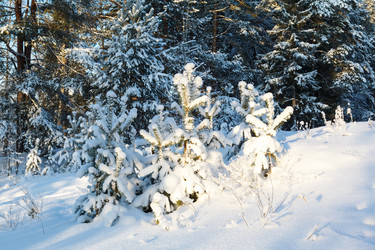 Similar image 2125257