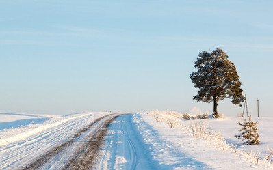 Similar image 2125259