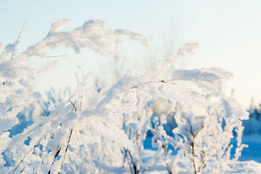 Similar image 2125260