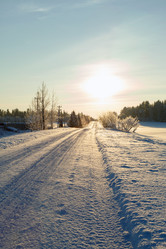 Similar image 2125262