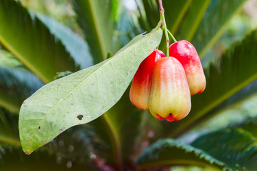 Similar image 2125292