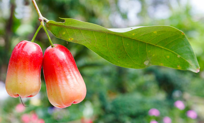 Similar image 2125294