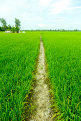 Similar image 2125302