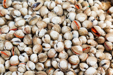 Similar image 2125306