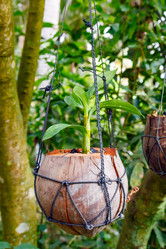 Similar image 2125308