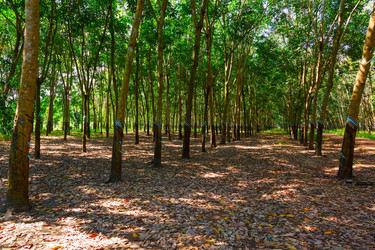 Similar image 2125310