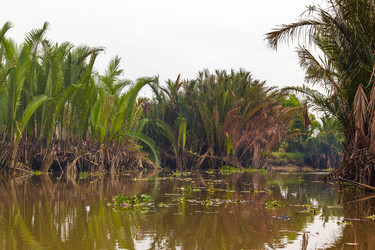 Similar image 2125318