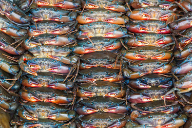 Similar image 2125327