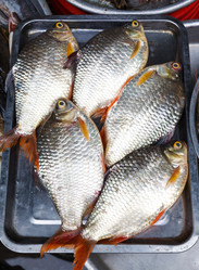 Similar image 2125351