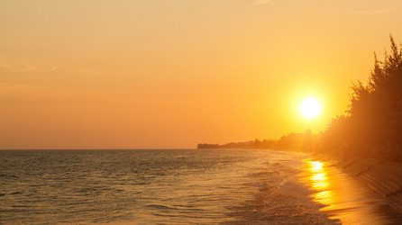 Similar image 2125387