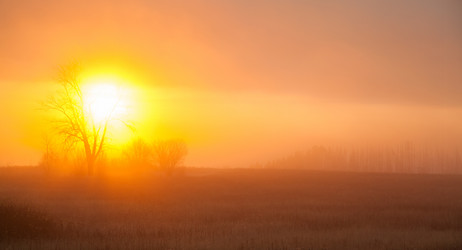 Similar image 2125436