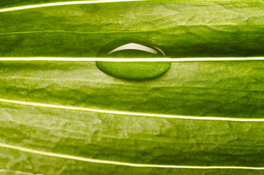 Similar image 2125534