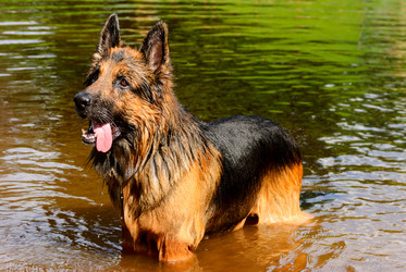 Similar image 2125546