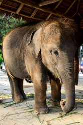 Similar image 2125627