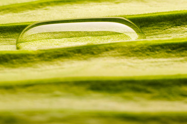 Similar image 2125666