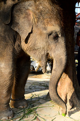 Similar image 2125677