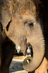 Similar image 2125678