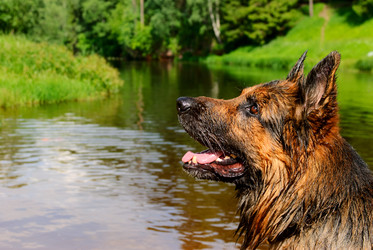 Similar image 2125698