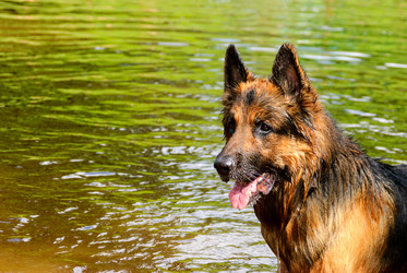 Similar image 2125703