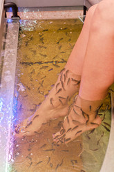 Similar image 2126058