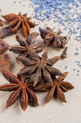 Similar image 2126227