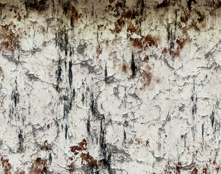 Similar image 2126360