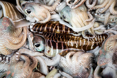 Similar image 2126705