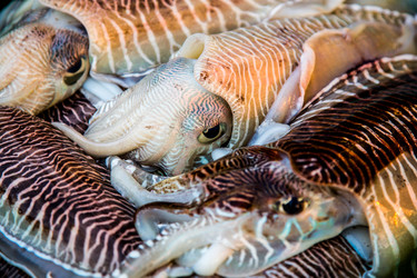 Similar image 2126792