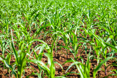 Similar image 2126798