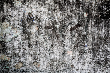 Similar image 2126831