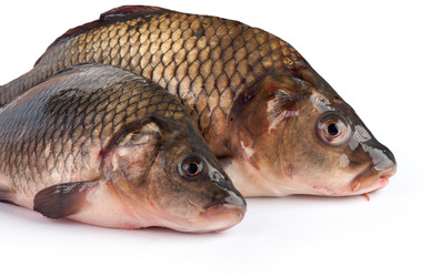 Similar image 2128646