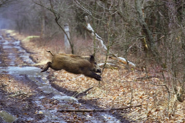 Similar image 2129003