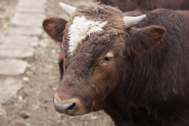 Similar image 2130348