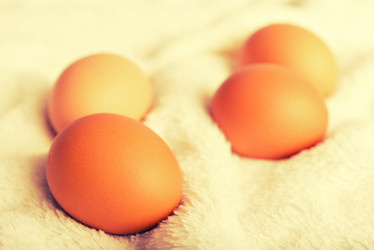 Similar image 2130524