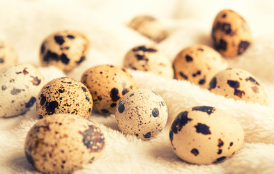 Similar image 2130527