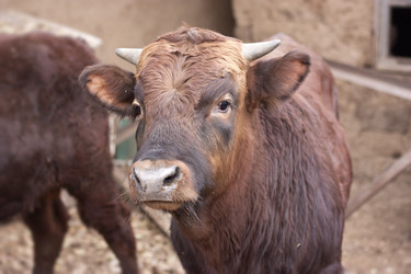 Similar image 2132552