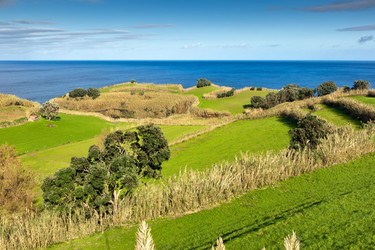 Similar image 2132959