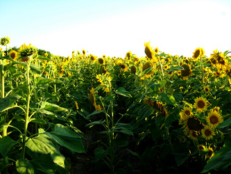 Similar image 2132963