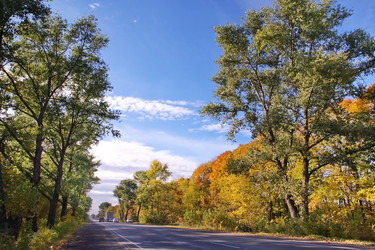 Similar image 2139947